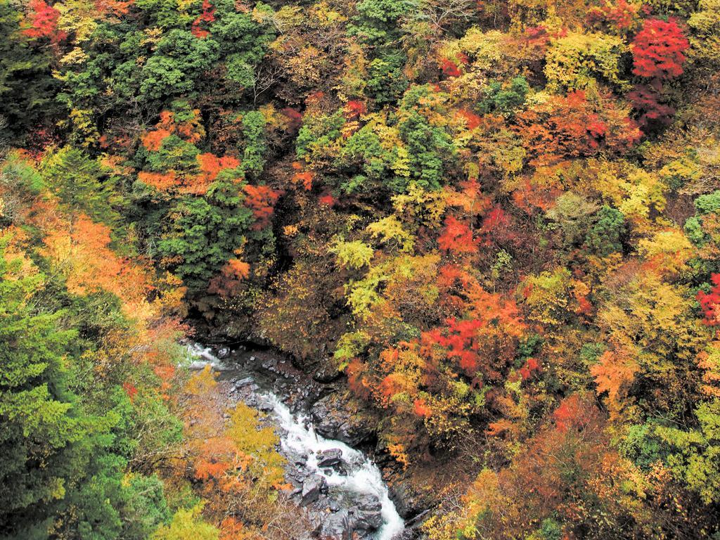 Отель Suikoen Сидзуока Экстерьер фото